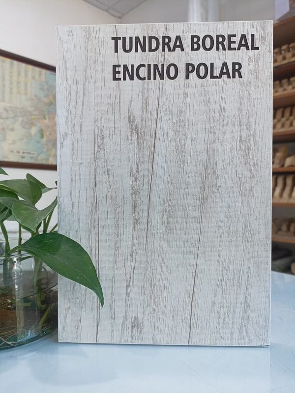 Muestra de melamina color Tundra Boreal Encino Polar